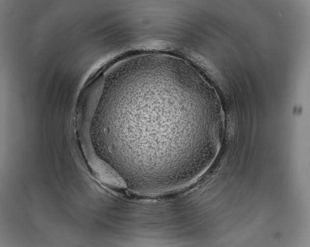 X0000091090392200708201502