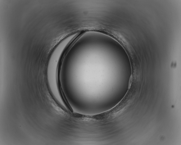 X0000091090393200708201502