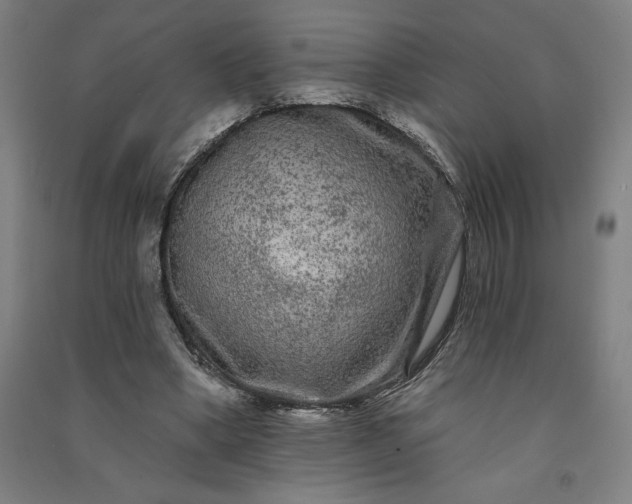 X0000091090394200708201502