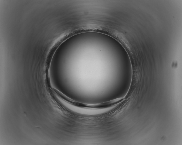 X0000091090395200708201502