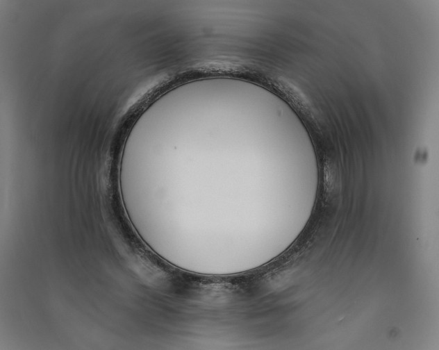 X0000091090396200708201502