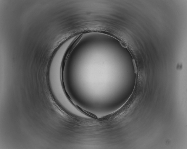 X0000091090397200708201502