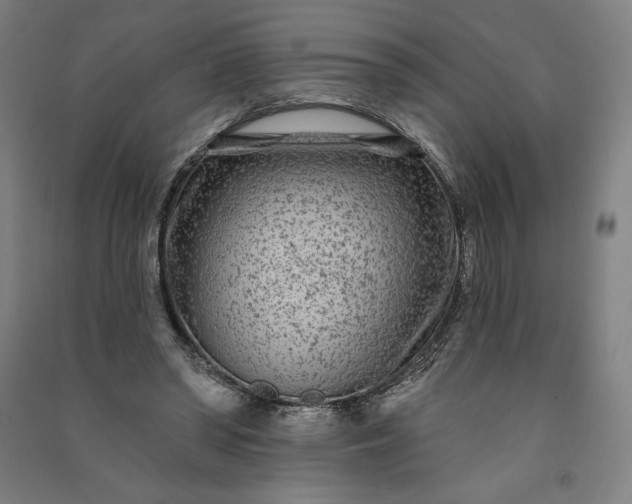 X0000091090398200708201502