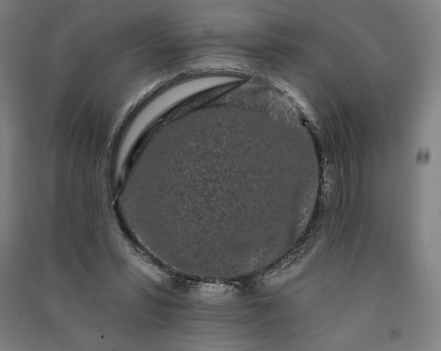 X0000091090399200708201502