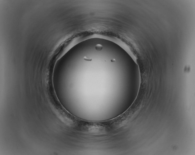 X0000091090400200708201502