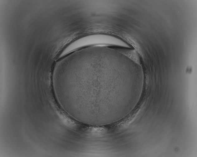 X0000091090401200708201502