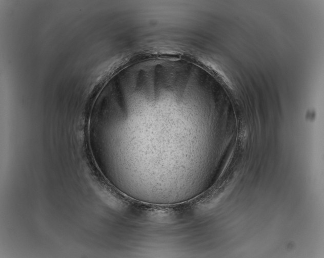 X0000091090402200708201502