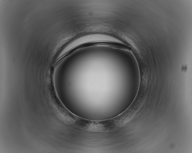 X0000091090403200708201502