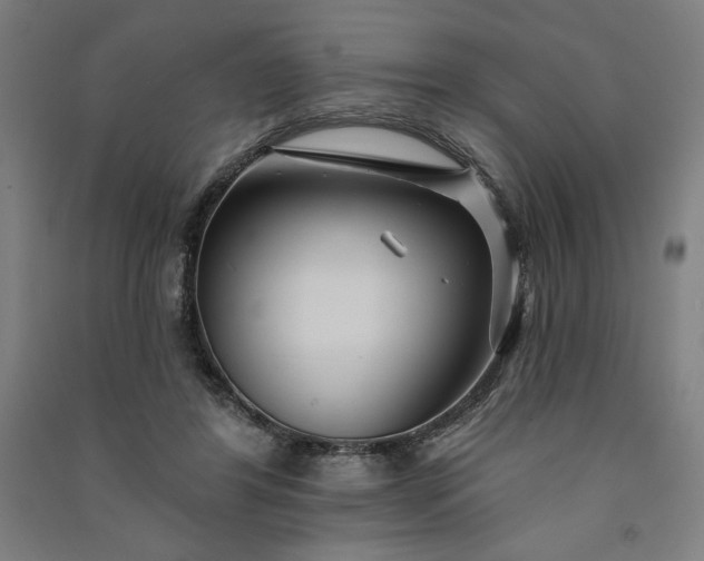 X0000091090404200708201502