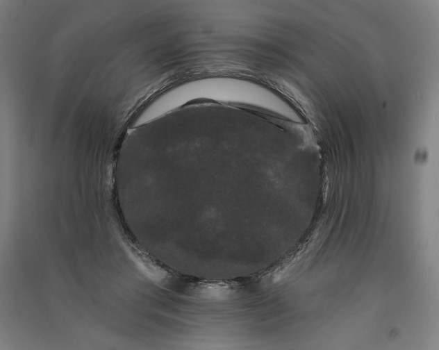 X0000091090405200708201502