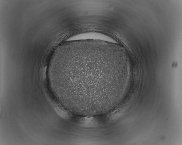 X0000091090406200708201502