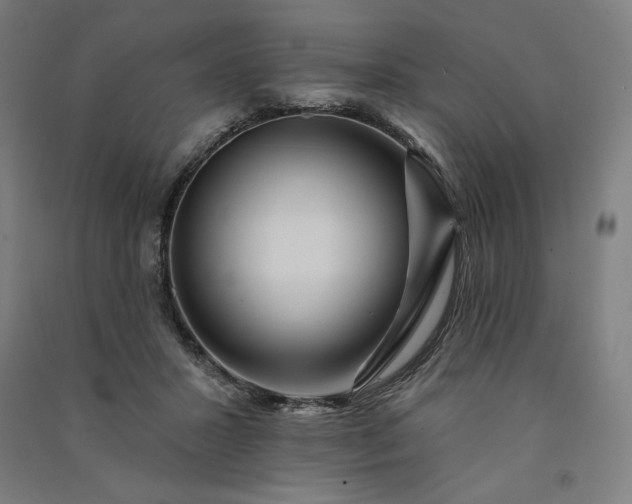 X0000091090407200708201502