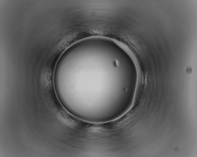 X0000091090408200708201502