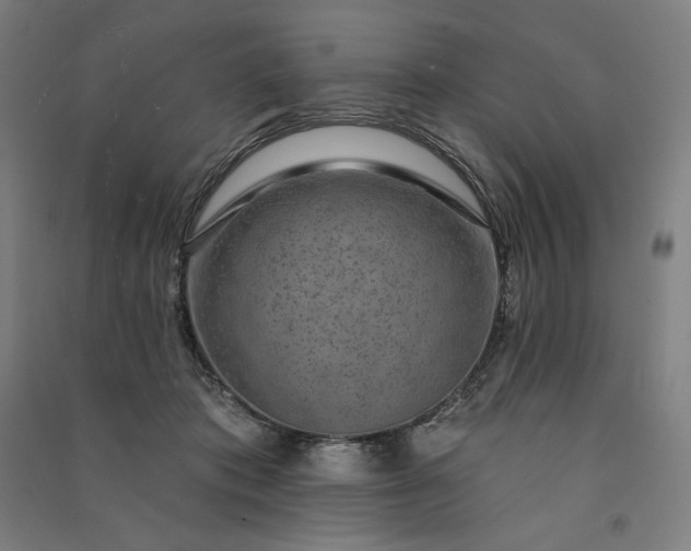 X0000091090413200708201502