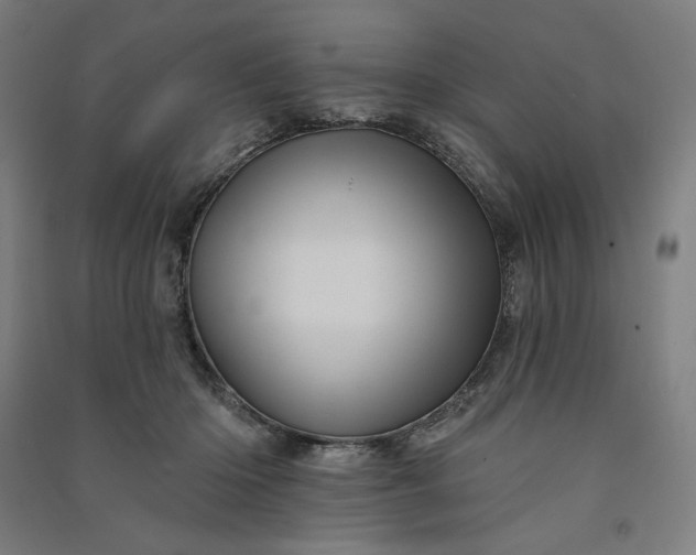 X0000091090414200708201502