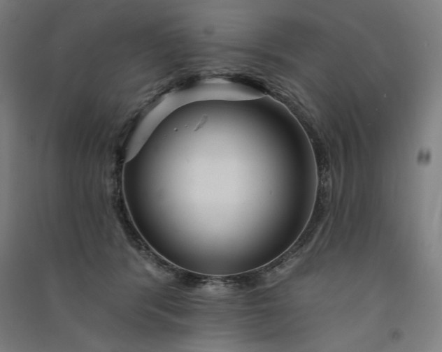 X0000091090416200708201502