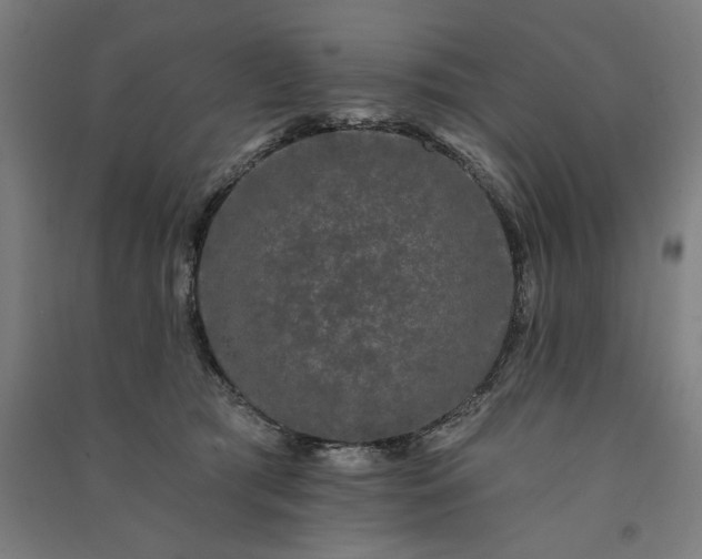 X0000091090417200708201502