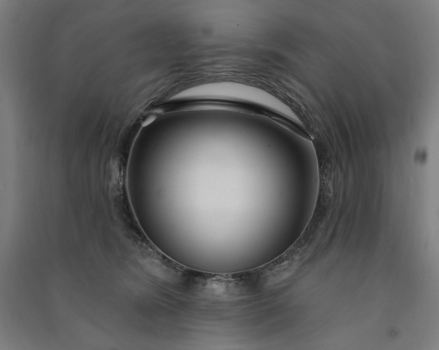 X0000091090420200708201502