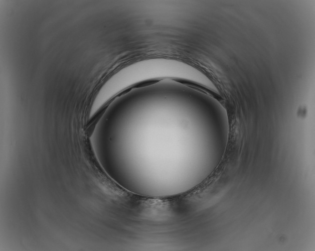 X0000091090421200708201502