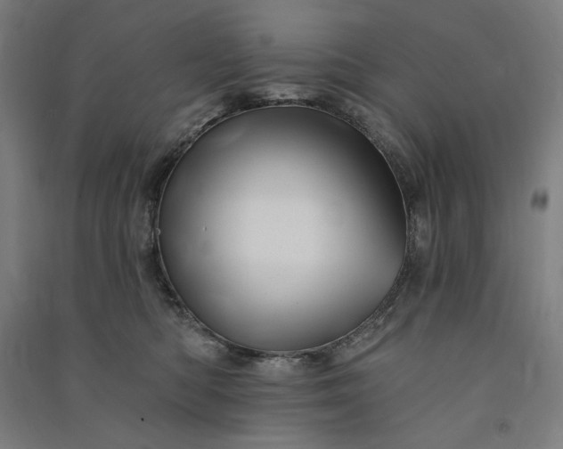 X0000091090422200708201502