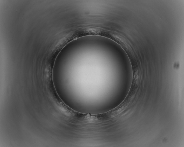 X0000091090424200708201502