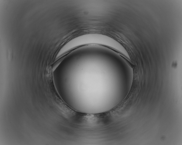 X0000091090425200708201502