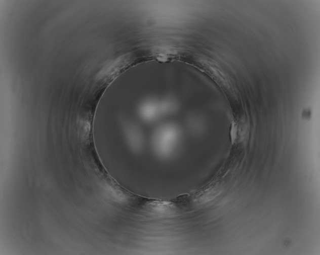 X0000091090427200708201502