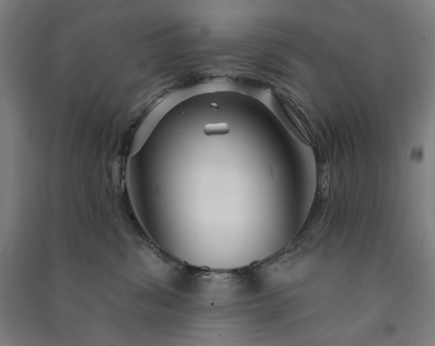 X0000091090428200708201502