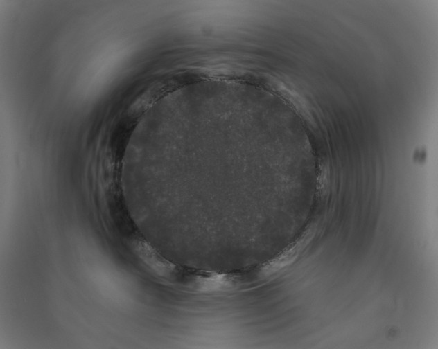 X0000091090430200708201502