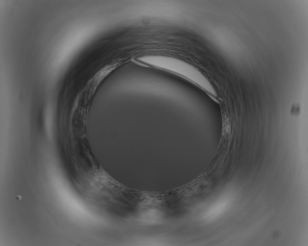 X0000091090431200708201502