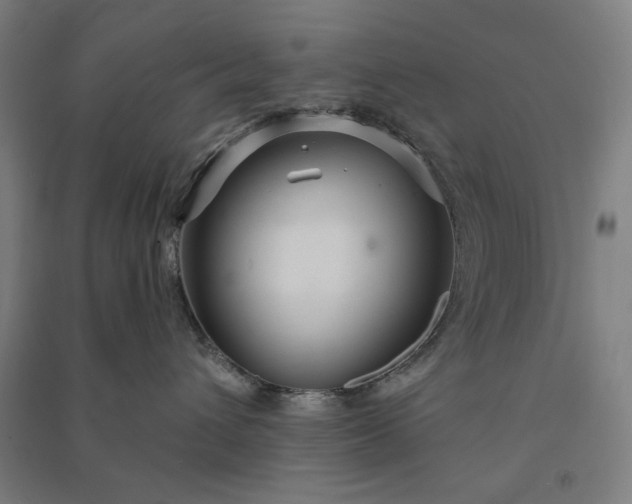 X0000091090432200708201502