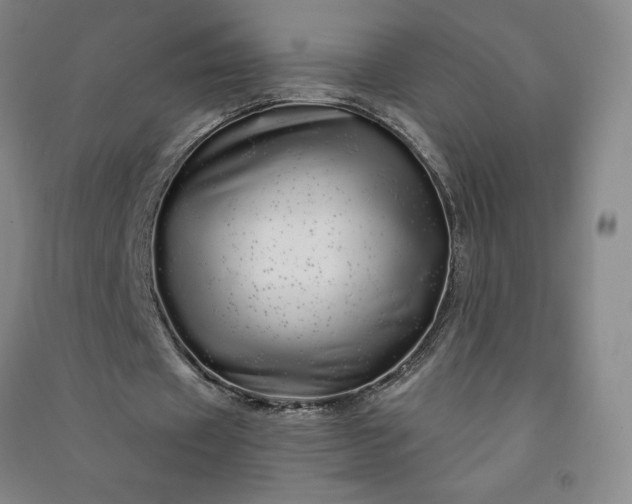 X0000091090433200708201501