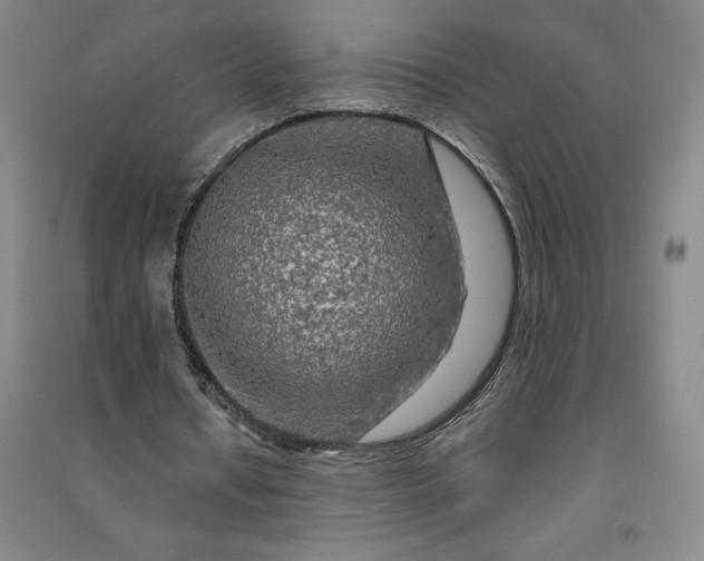 X0000091090434200708201501