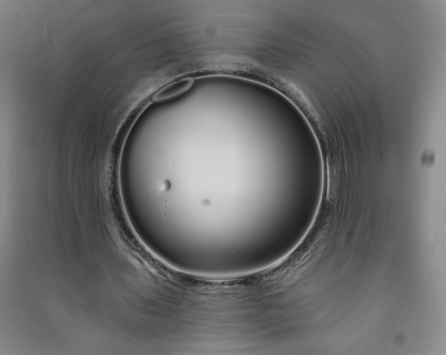 X0000091090435200708201501