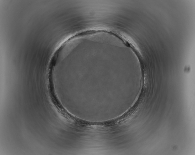 X0000091090436200708201501