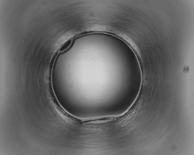 X0000091090437200708201501