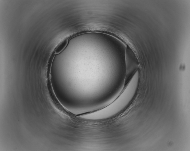 X0000091090438200708201501