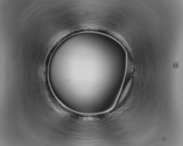 X0000091090439200708201501