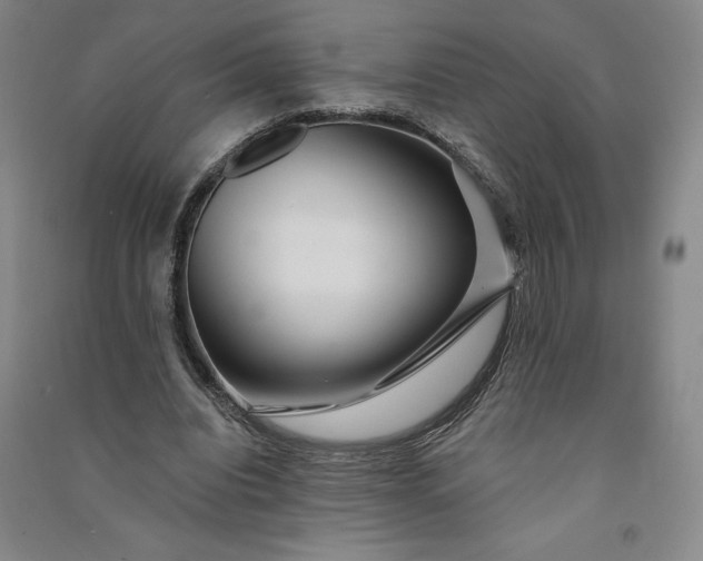 X0000091090440200708201501