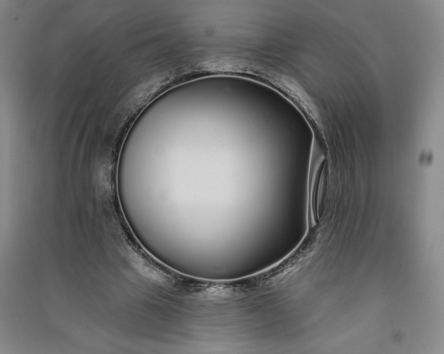 X0000091090441200708201501