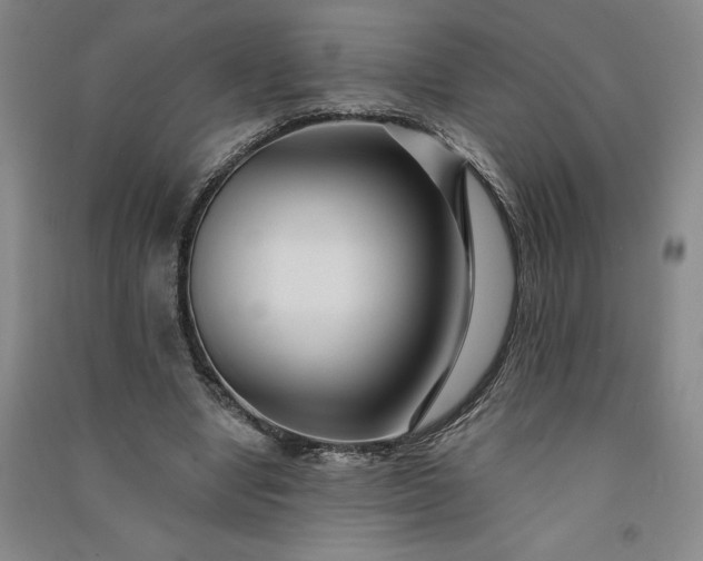 X0000091090442200708201501