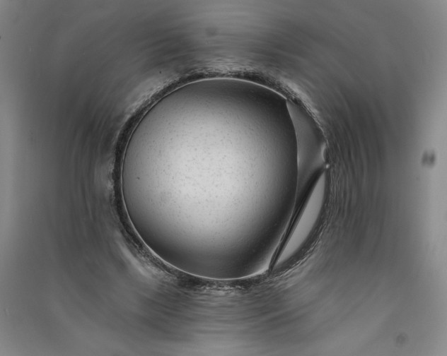 X0000091090443200708201501