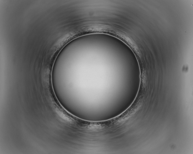 X0000091090445200708201501