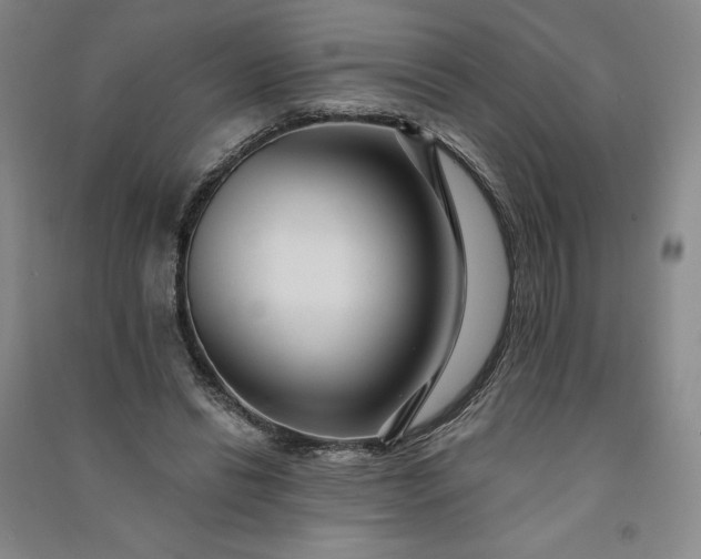 X0000091090446200708201501