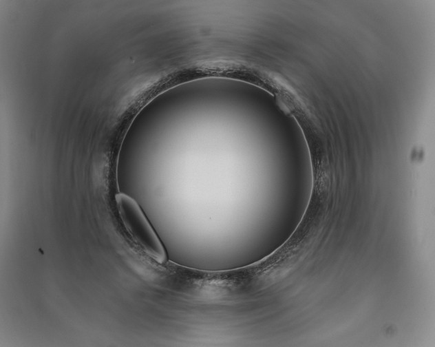 X0000091090448200708201501