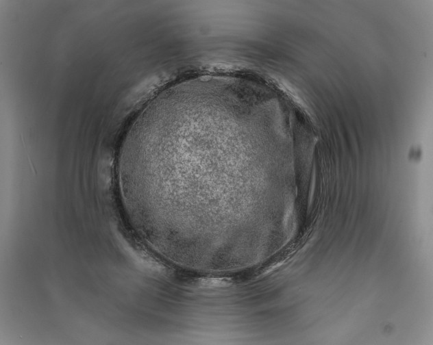 X0000091090451200708201501