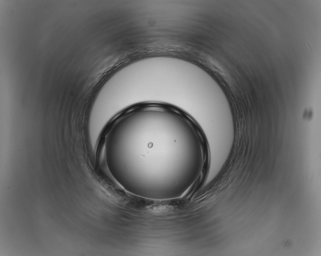 X0000091090452200708201501