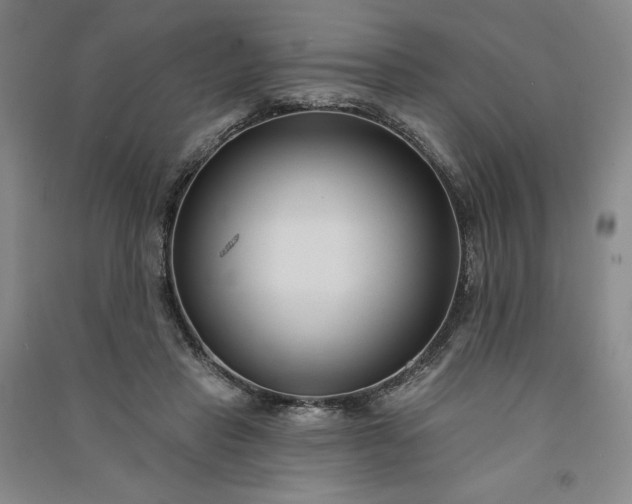 X0000091090453200708201501