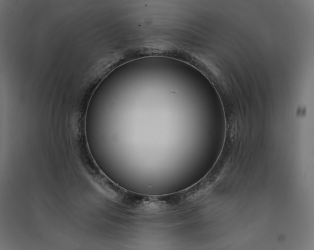 X0000091090455200708201501