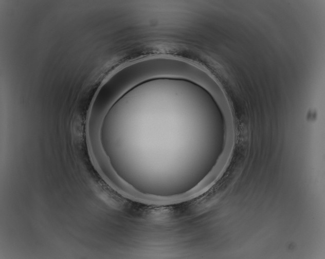 X0000091090456200708201501